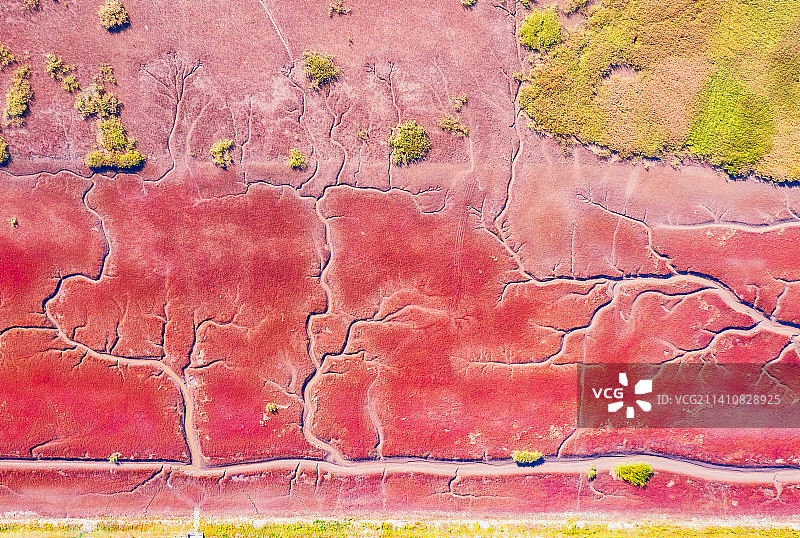 辽宁省盘锦市辽河口红海滩国家风景廊道秋季户外航拍正上方视角图片素材