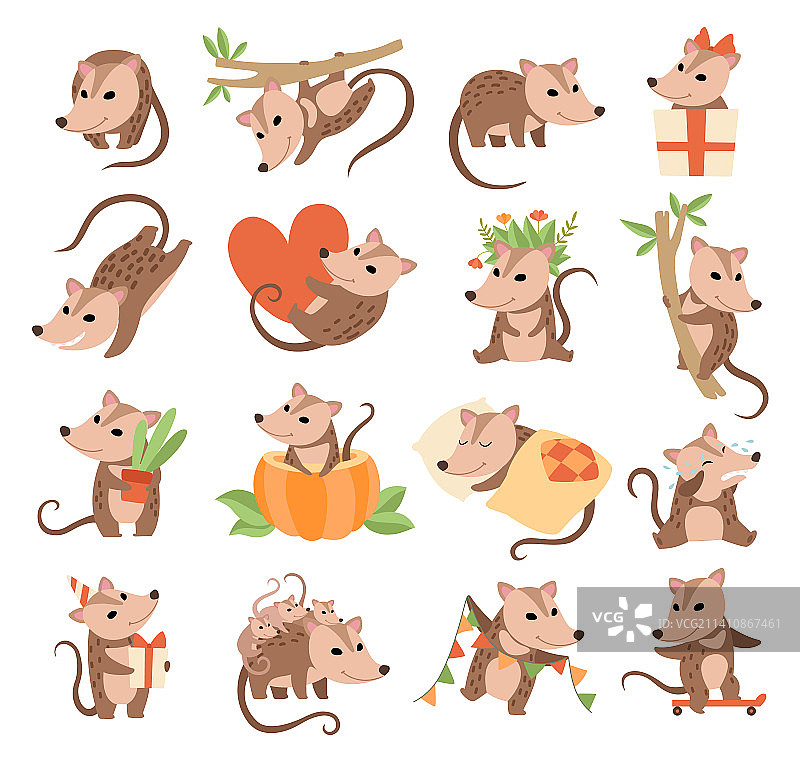 可爱的负鼠动物图片素材