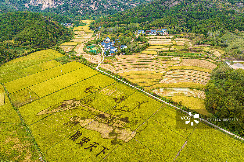 航拍信阳罗山灵山镇稻田艺术画图片素材