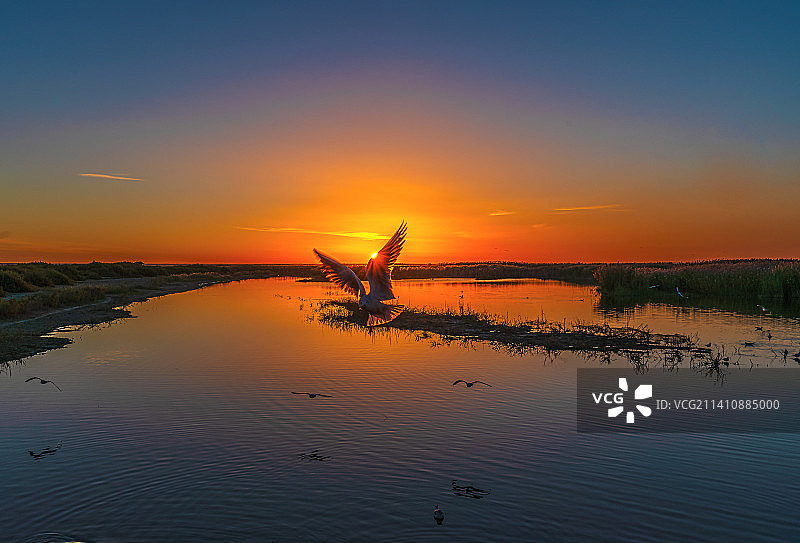 居延海的早晨图片素材