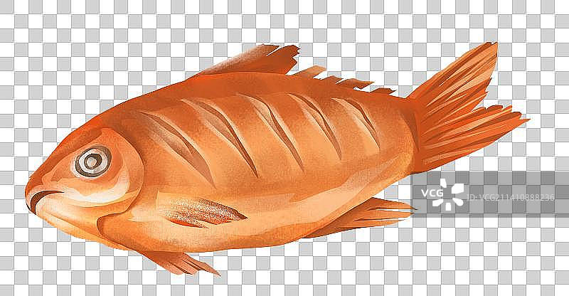 团圆饭一盘红烧鲫鱼插画图片素材