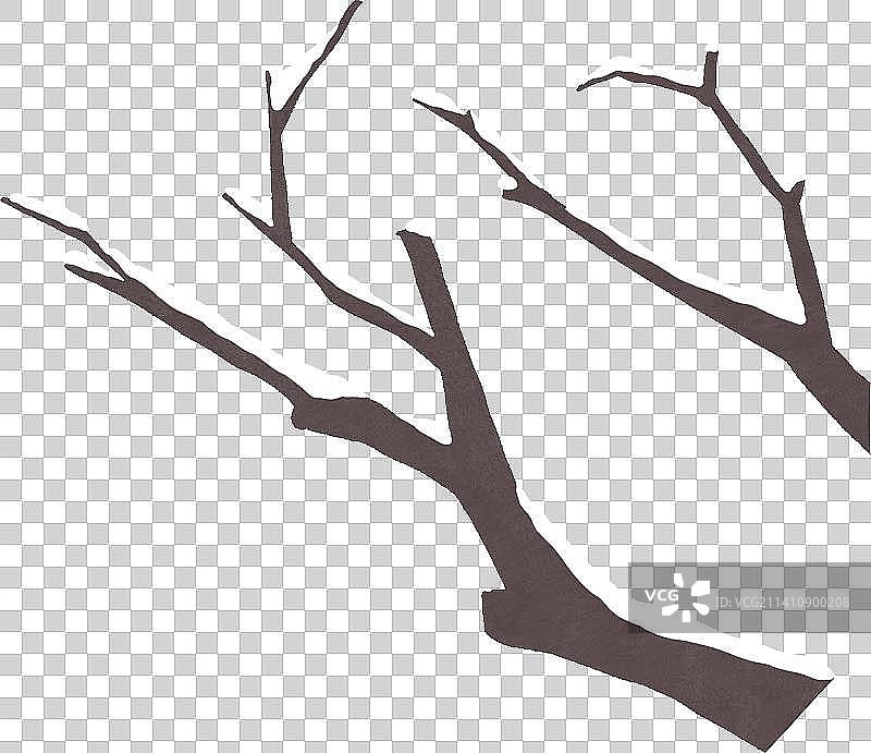 冬天窗外积雪的树枝图片素材