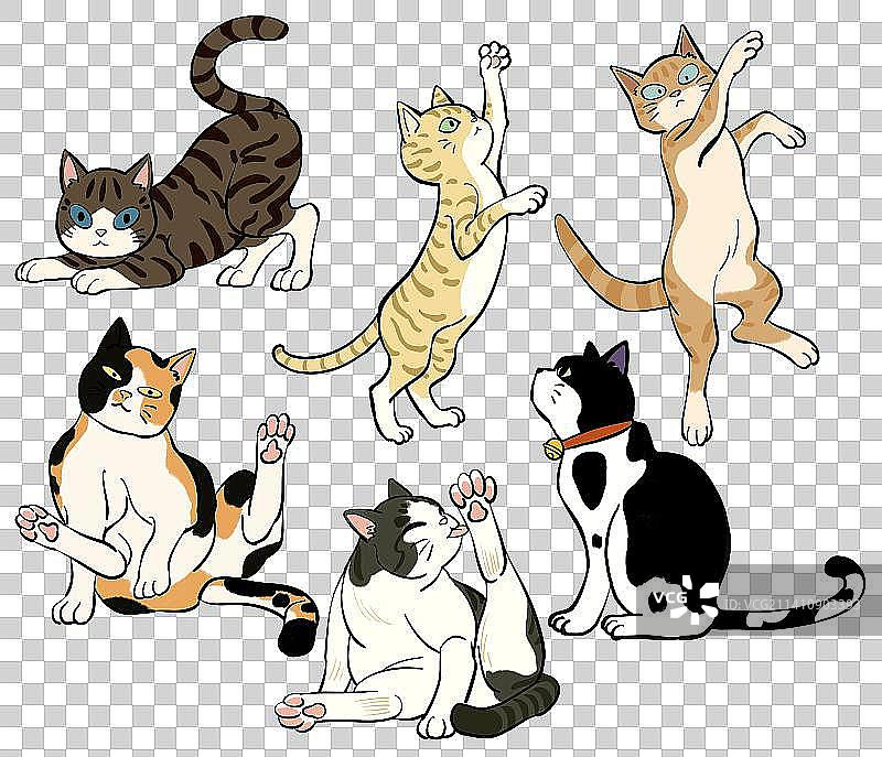 多种姿势的猫咪卡通可爱风格插画元素图片素材