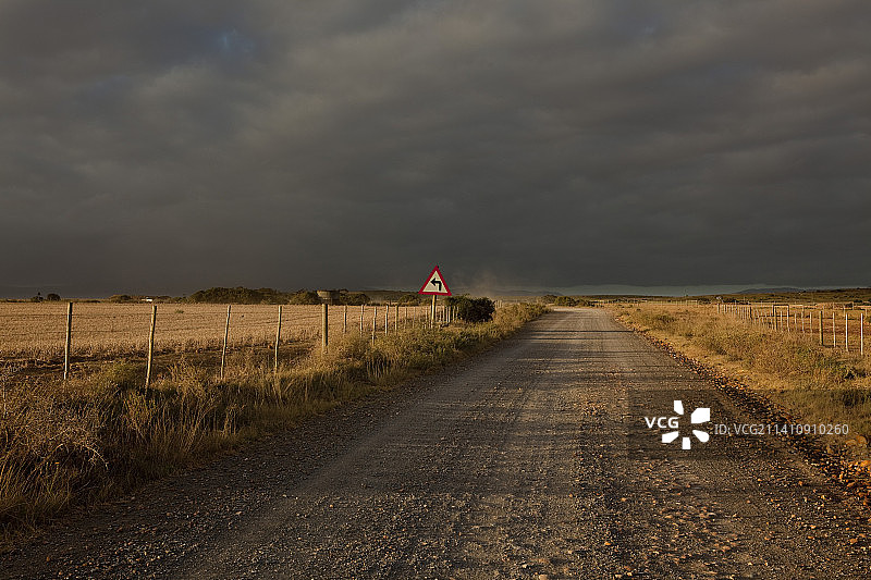 农田环绕的土路图片素材