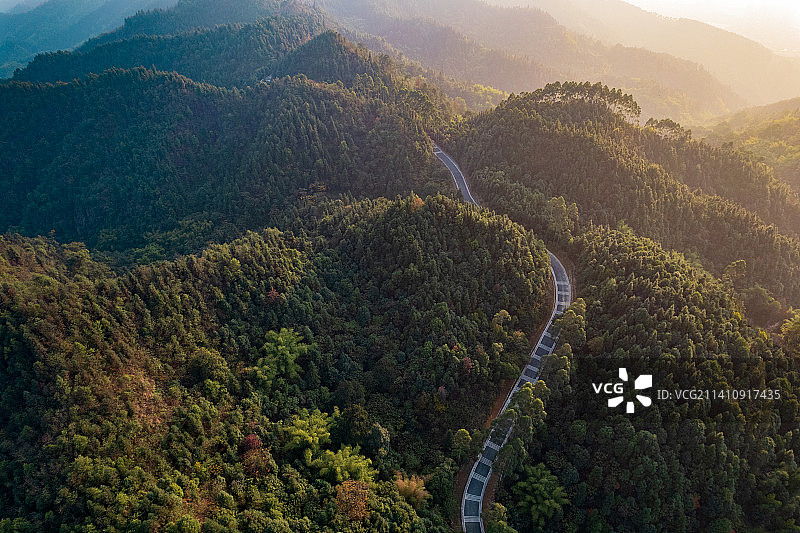 夕阳下的山与森林图片素材
