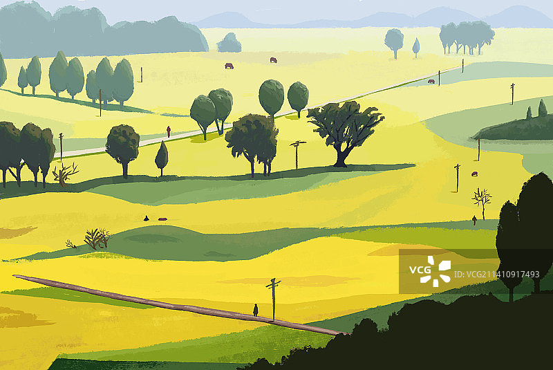 秋天空旷的金色田野图片素材