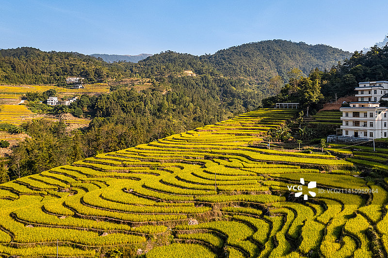 高州古丁柏河梯田图片素材