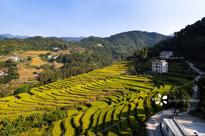 高州古丁柏河梯田图片素材