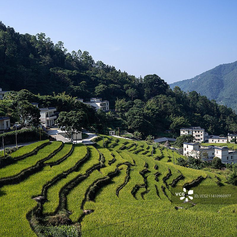 高州古丁柏河梯田图片素材