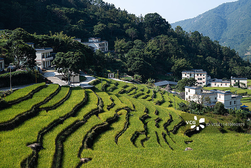 高州古丁柏河梯田图片素材