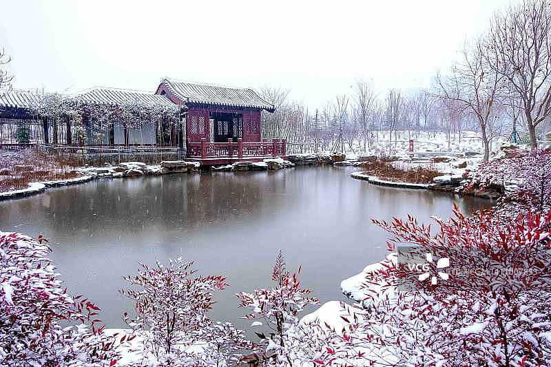 雪后的中央公园图片素材