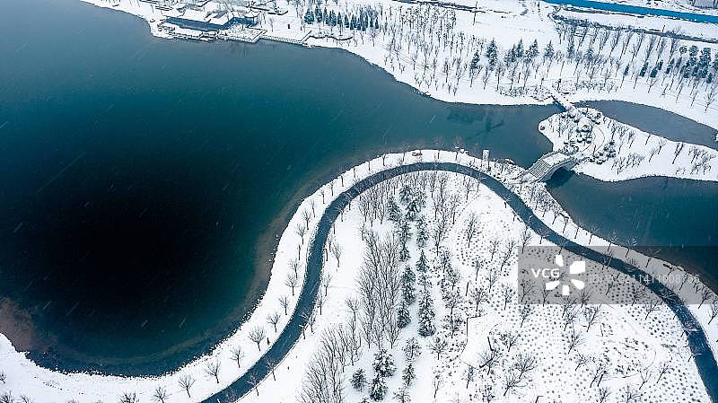 雪后的中央公园图片素材