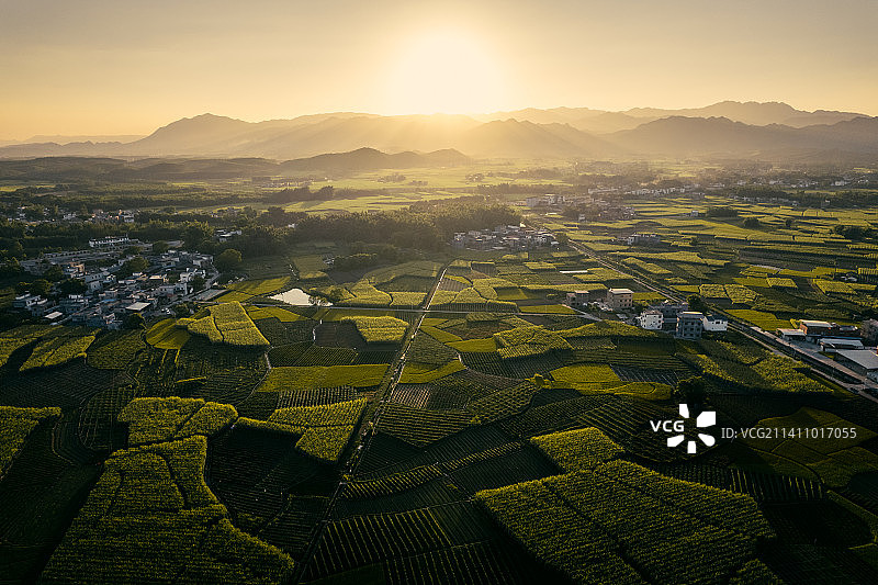 秋日田野黄昏图片素材