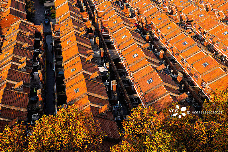 俯瞰上海建业里法式梧桐掩映下的老里弄房的红色屋顶图片素材