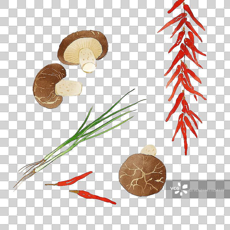 蘑菇小葱和辣椒插画元素图片素材