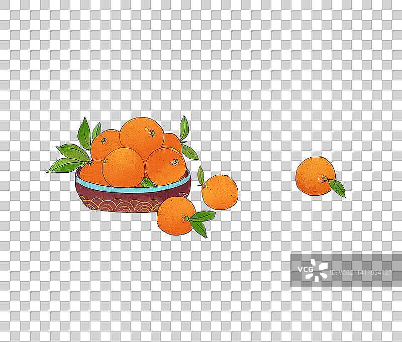 橘子插画元素图片素材