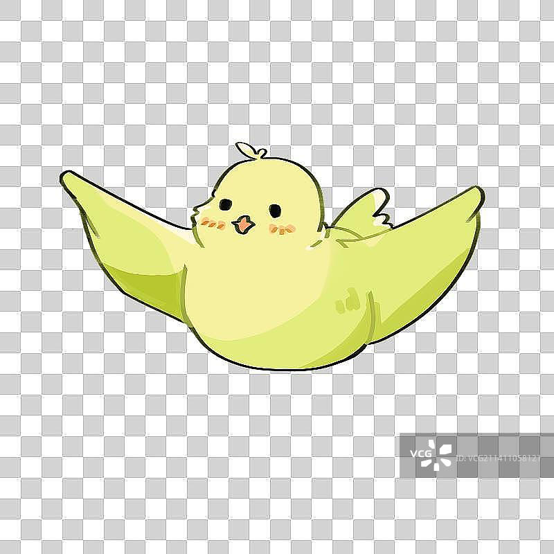 青色小鸟图片素材