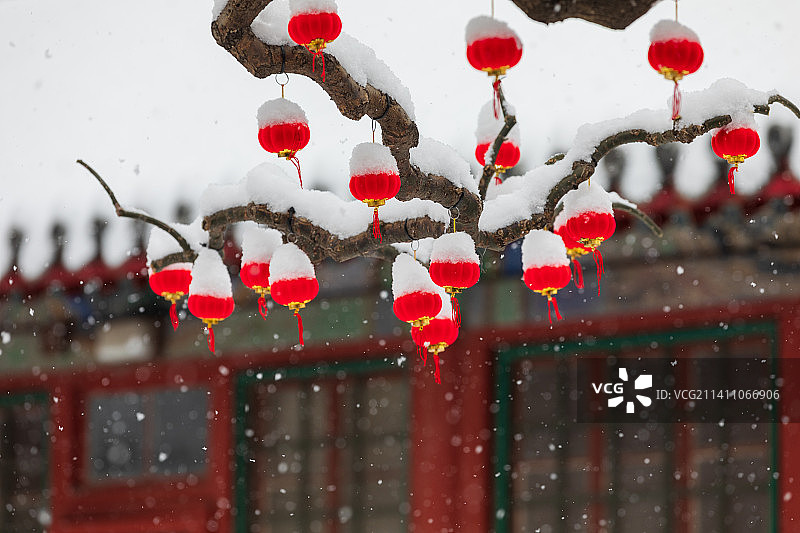 北京 颐和园 雪 季节 节气图片素材