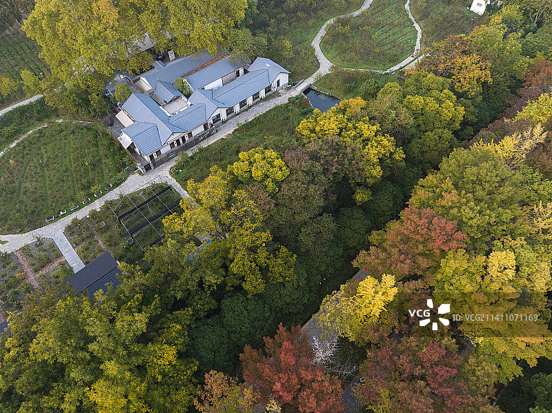 秋色+江苏省南京市玄武区孝陵卫街道石象路明孝陵景区图片素材