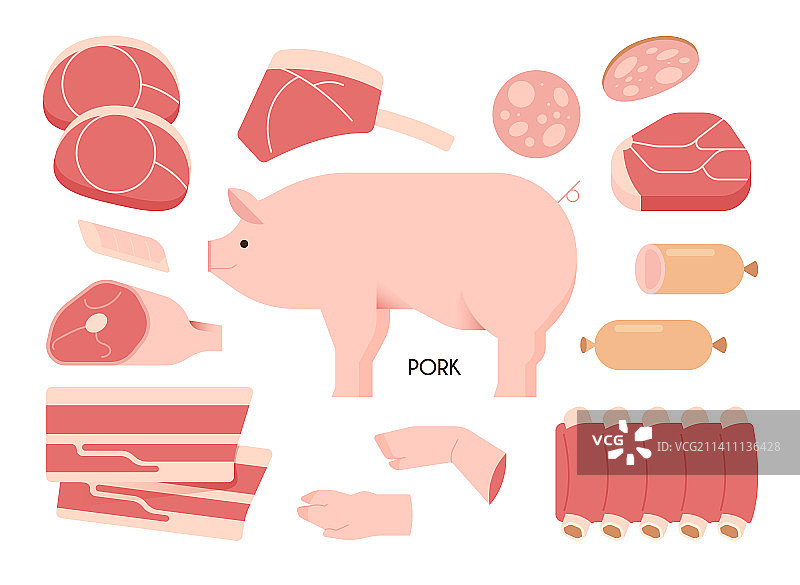 猪肉矢量插图图片素材
