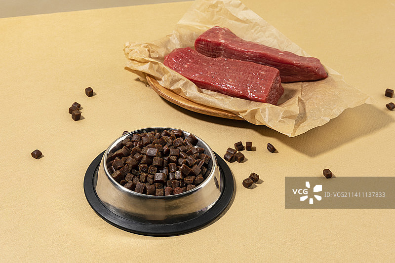 健康宠物狗粮和零食的创意概念照片图片素材