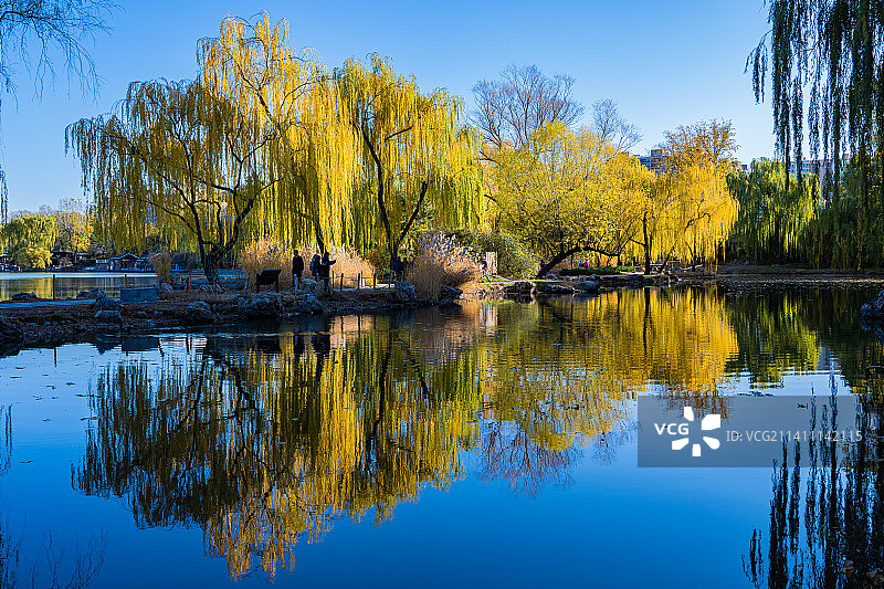 紫竹院秋色图片素材