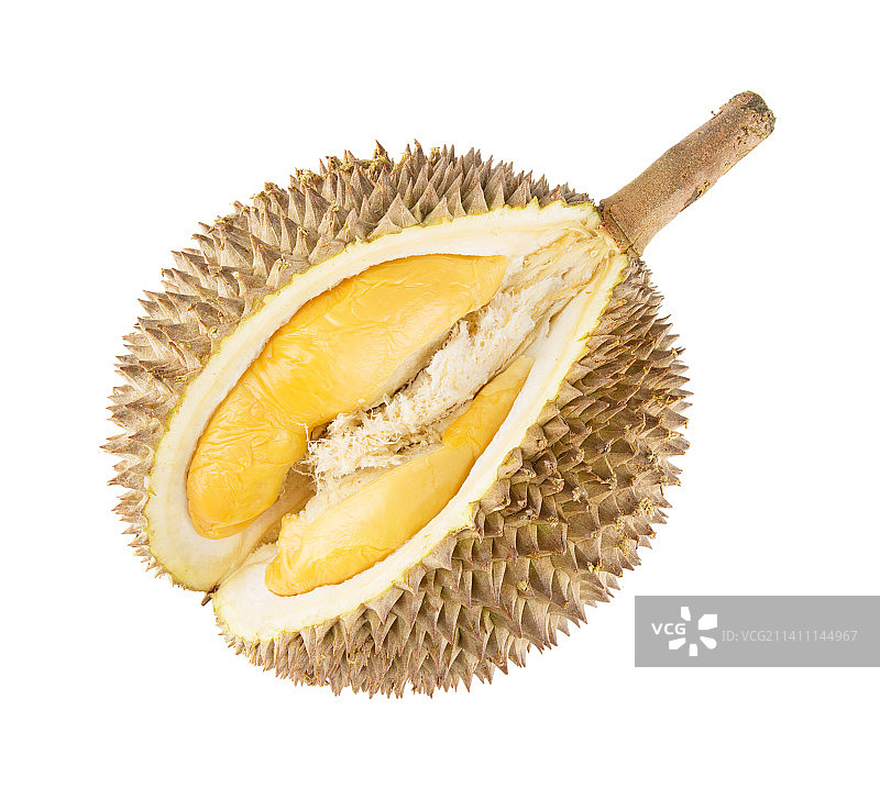 新鲜的金凤榴莲孤立在白色背景上图片素材