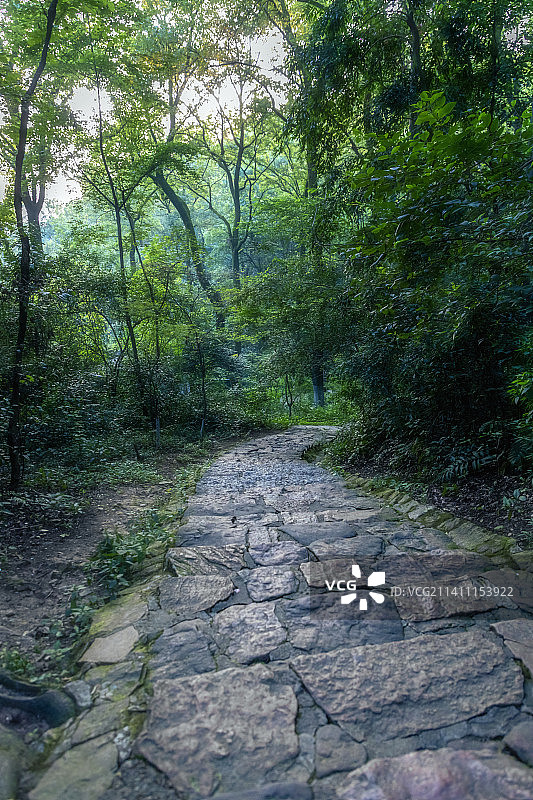 湖南长沙岳麓山小径山路图片素材