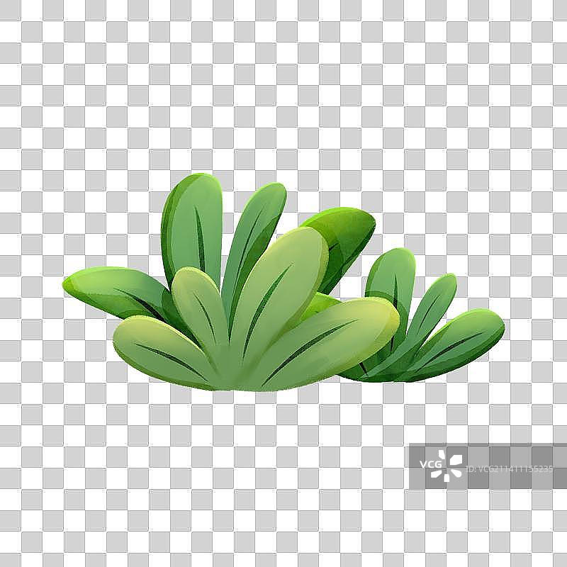 绿色植物草丛图片素材