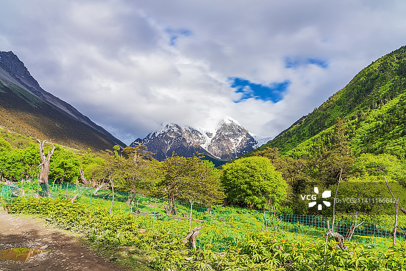 中国西藏林芝的原始森林和梅里雪山的自然美景图片素材