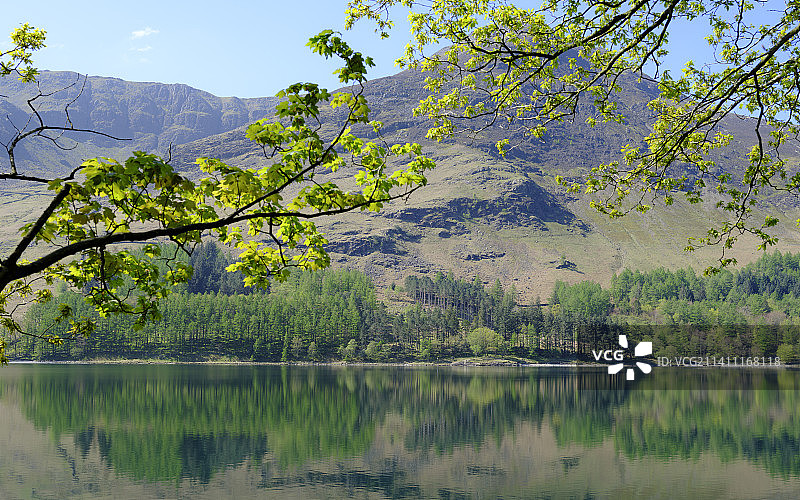 英国科克茅斯树木湖泊风光图片素材