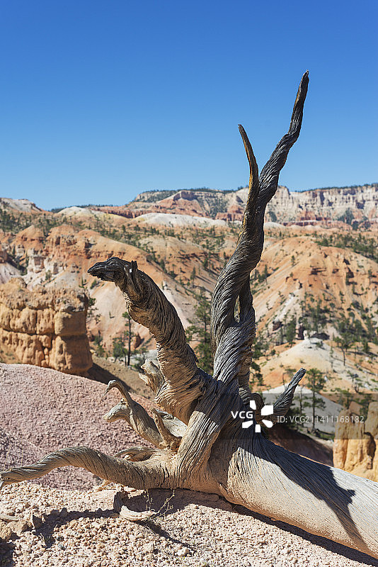 美国犹他州仙境峡谷的壮丽景色图片素材