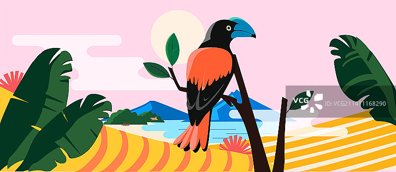 一款非洲动物犀鸟插画，也可用于设计模版/包装等。图片素材