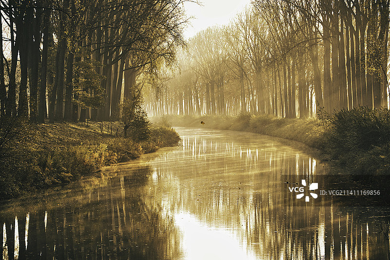 比利时达默市湖泊森林风光图片素材