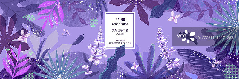 薰衣草植物纹理扁平香氛包装文创背景设计模板图片素材
