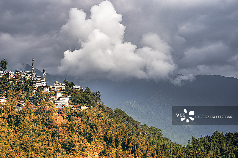 天空下的树木与建筑，锡金邦，印度图片素材