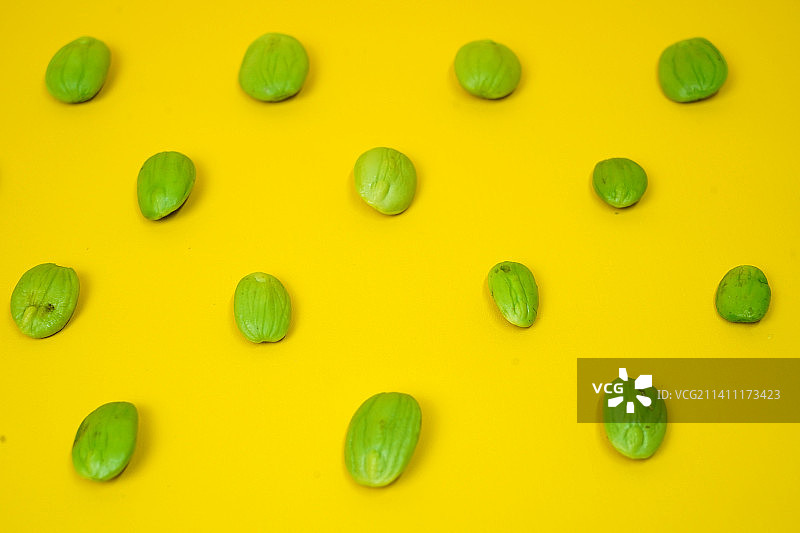 臭豆，黄色背景，印度尼西亚巴卡尔图片素材
