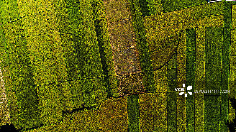 菲律宾伊罗戈省帕苏金农田全景照片图片素材