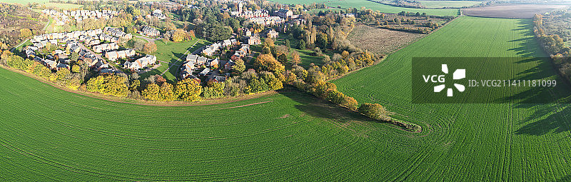英国圣奥尔本斯田野树木高角度景观图片素材