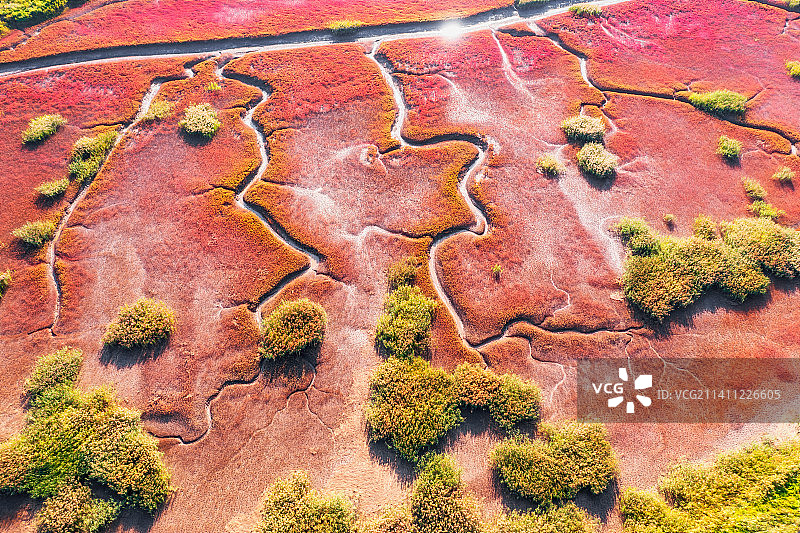 辽宁省盘锦市辽河口红海滩国家风景廊道秋季户外航拍鸟瞰图图片素材