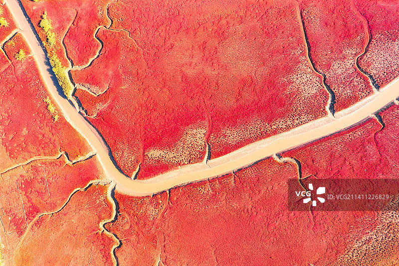 辽宁省盘锦市辽河口红海滩国家风景廊道秋季户外航拍正上方视角图片素材