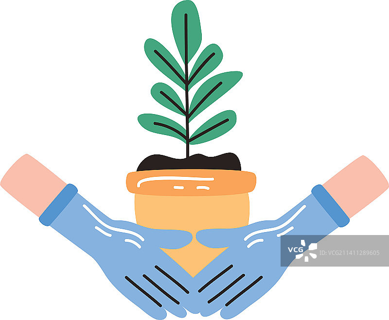 双手在花盆中种植室内植物图片素材