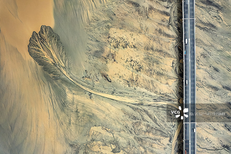 桥下有颗树（嘉绍大桥）图片素材