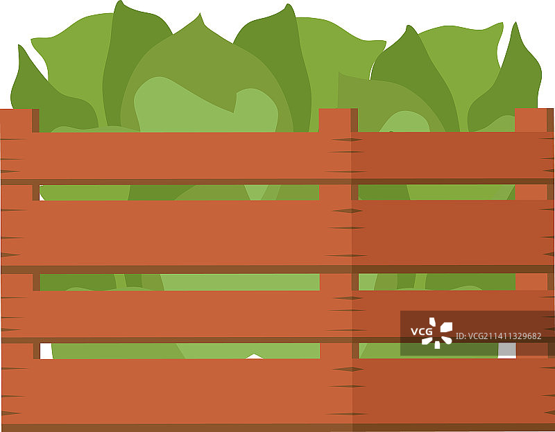 装满生菜的木篮图片素材