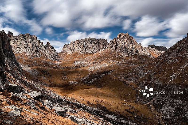 莲宝叶则 Lianbaoyeze图片素材