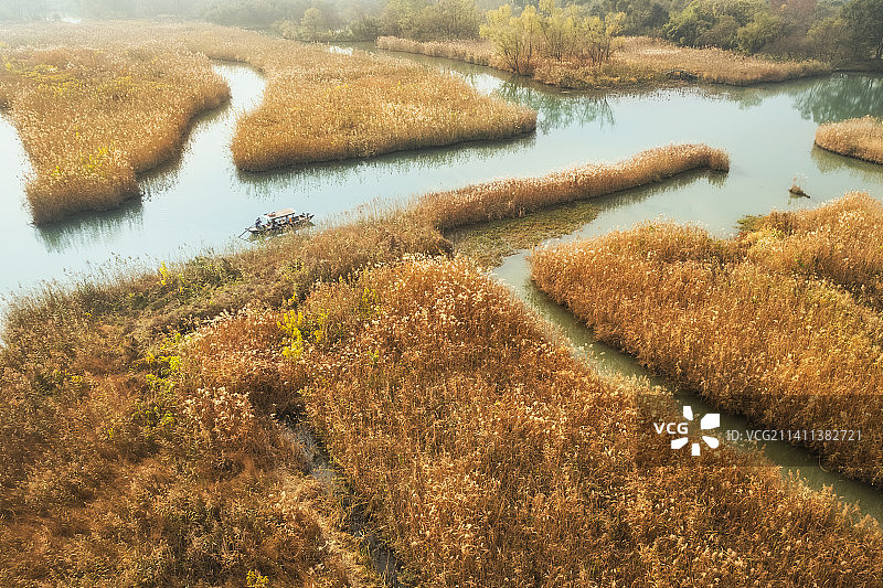 西溪湿地的深秋图片素材