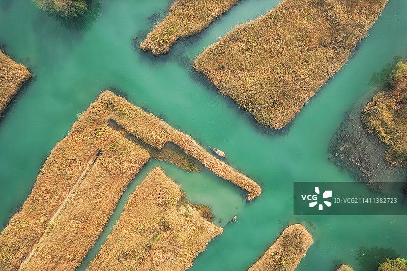 西溪湿地的深秋图片素材