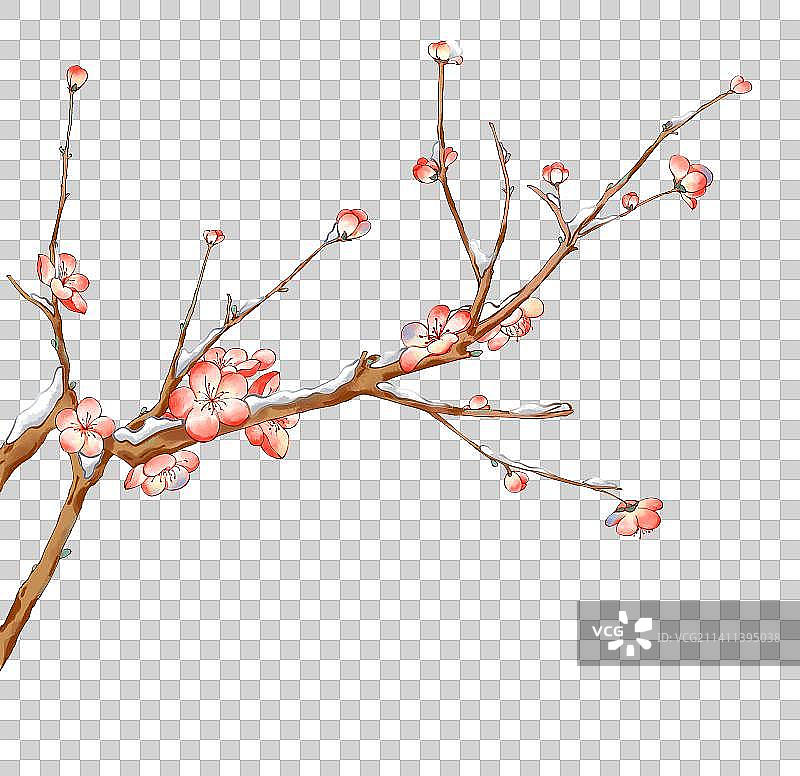 手绘下雪的梅花图片素材