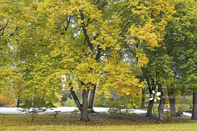 俄勒冈州的秋色图片素材