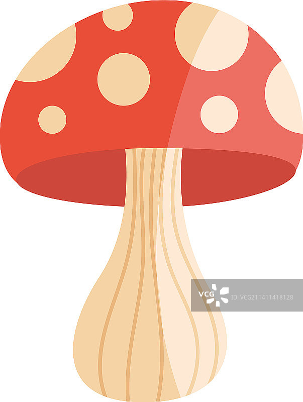 花园植物自然真菌图片素材